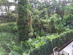 Mcmahon Park (D10), Detached #278592341